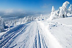 Langlaufzentrum Mauth Finstrau Winterurlaub Alpinski Bayrischer Wald